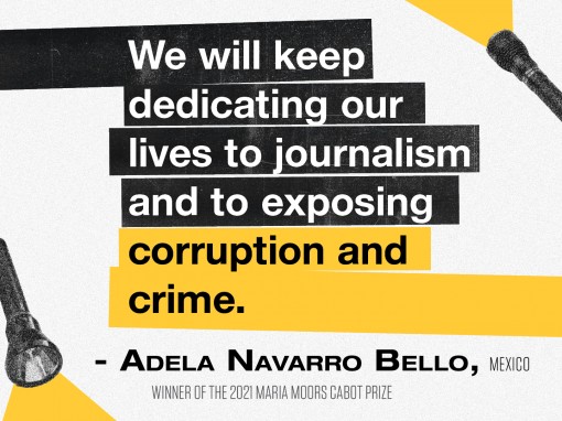 #JournalistsToo: The harassment networks | Adela Navarro Bello (Mexico)